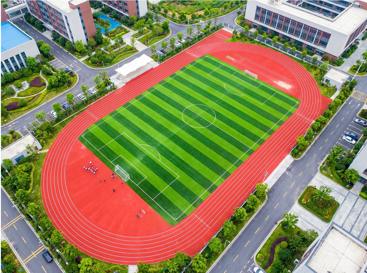 河池市全塑型塑胶跑道学校塑胶跑道 - 方案